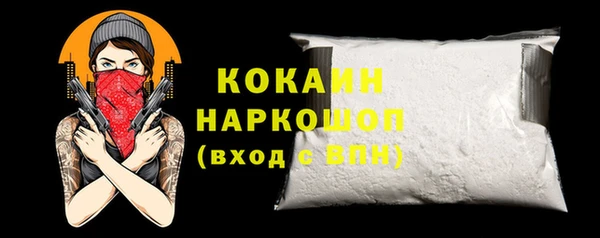 мет Инта
