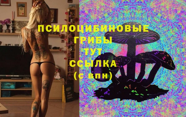 бутират Инсар
