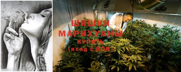 мет Инта