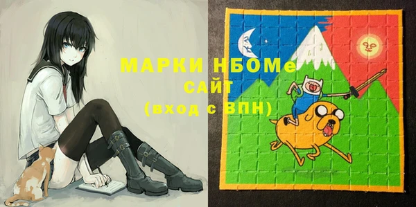 мет Инта