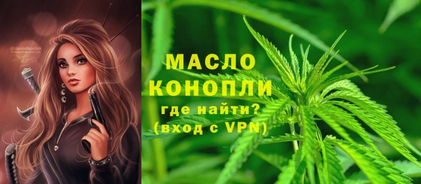 мет Инта