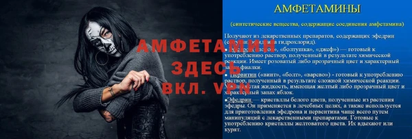 мет Инта
